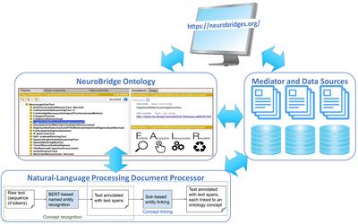 NeuroBridge: a prototype platform for discovery of the long-tail neuroimaging data